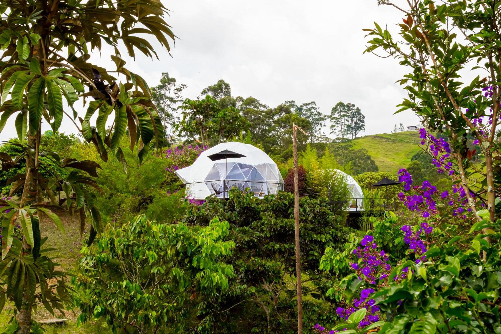 Ecohotel Monte Tierra Habitaciones Y Glamping Филандия Номер фото